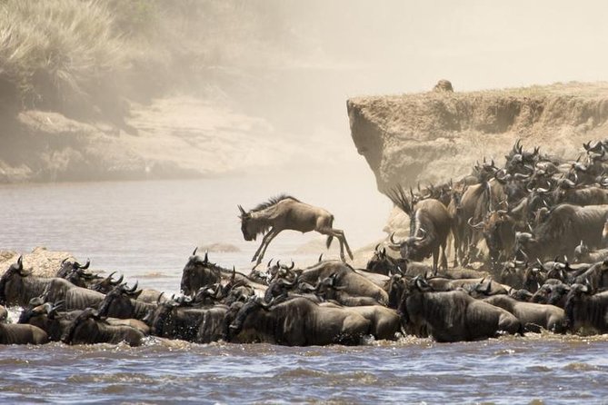 5 Days 4 Nights Tarangire, Serengeti , Ngorongoro & Manyara Wildlife Safari - Day two, the long road into Serengeti