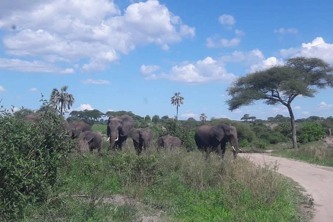 5 Days African Safaris - What the $2,588.15 price includes