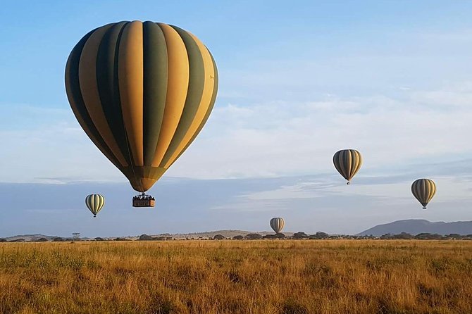 5 Days African Safaris - The private format and guide quality