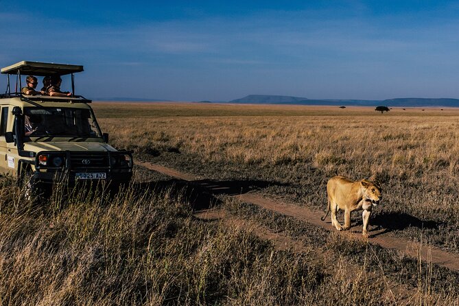 5 Days Budget Safari in Tanzania - Day 1: Elephants and baobabs in Tarangire
