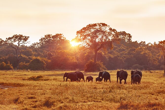 5 Days Budget Safari in Tanzania - Day 3: Sunrise in the Serengeti