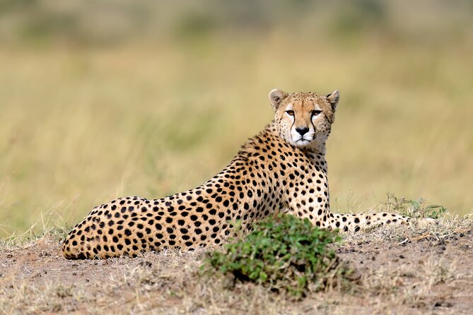5 Days Budget Safari in Tanzania - Food and overnight stops