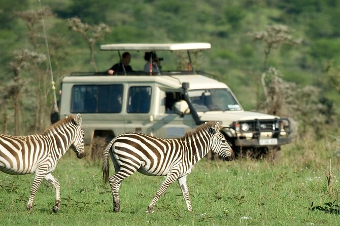 5 Days Budget Safari in Tanzania - Day 2: The long road to Serengeti