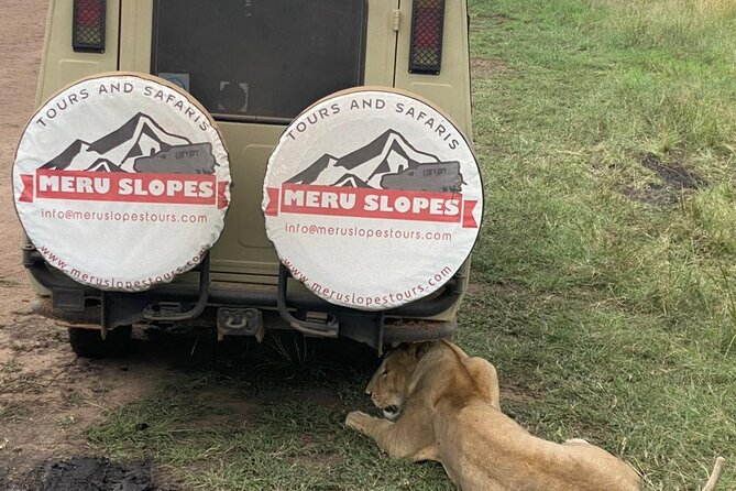 5 Days Camping Tarangire, Serengeti & Ngorongoro crater & Visiting Maasai - Day 2: Entering the Serengeti through the highlands