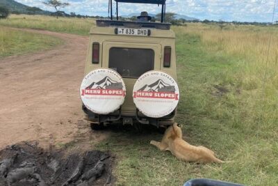5 Days Camping Tarangire, Serengeti & Ngorongoro crater & Visiting Maasai