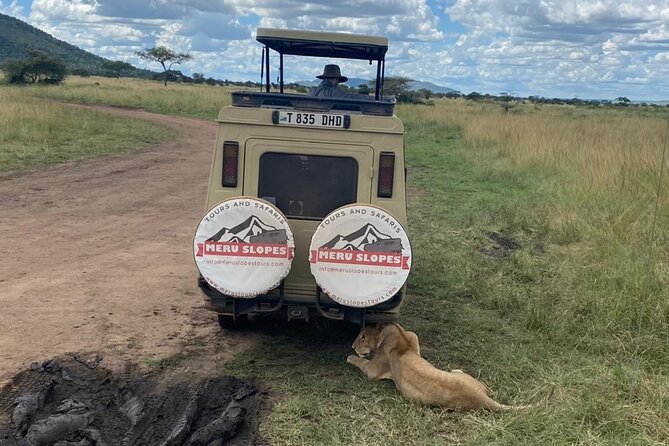5 Days Camping Tarangire, Serengeti & Ngorongoro crater & Visiting Maasai - Camping, food, transport, and group size