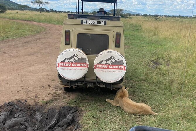 5 Days Camping Tarangire, Serengeti & Ngorongoro crater & Visiting Maasai - Day 1: Tarangire’s elephants and giant baobabs