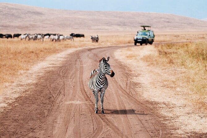 5 Days Exclusive Camping Adventure in Northern Tanzania - Four parks, one tightly packed safari