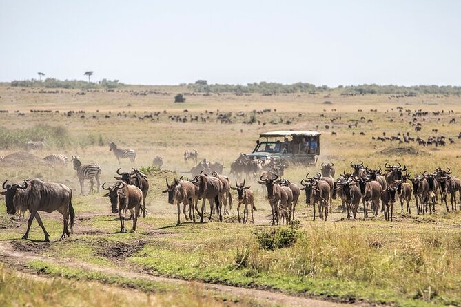 5 Days Exclusive Camping Adventure in Northern Tanzania - Day 1: Tarangire and its elephant country