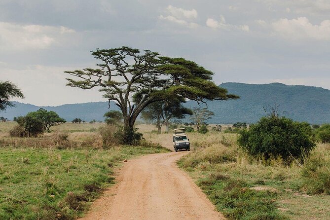 5 Days Fantastic Tanzania Lodge Safaris - Why this five-day route works