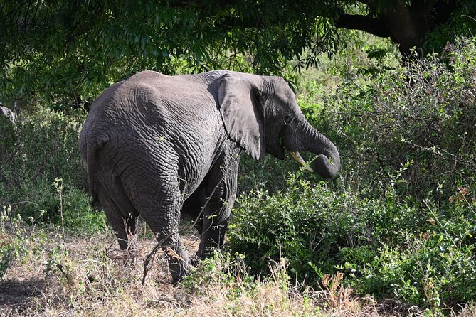 5 Days Group Camping Safari - Day 3: Entering the Serengeti through the highlands