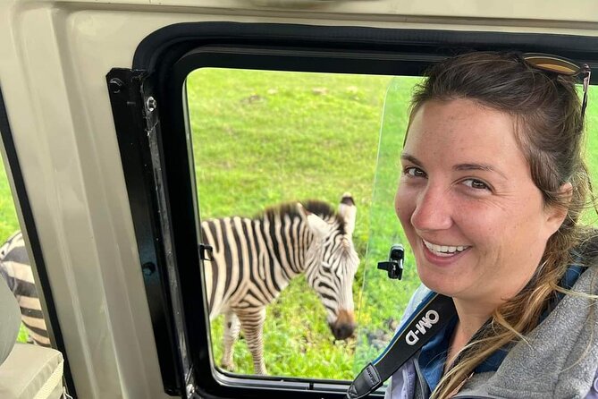 5-Days Lake Manyara, Serengeti, Ngorongoro Crater and Tarangire - Day 3: A full day in central Serengeti
