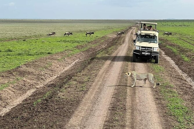 5-Days Lake Manyara, Serengeti, Ngorongoro Crater and Tarangire - Day 5: Baobabs and elephants in Tarangire