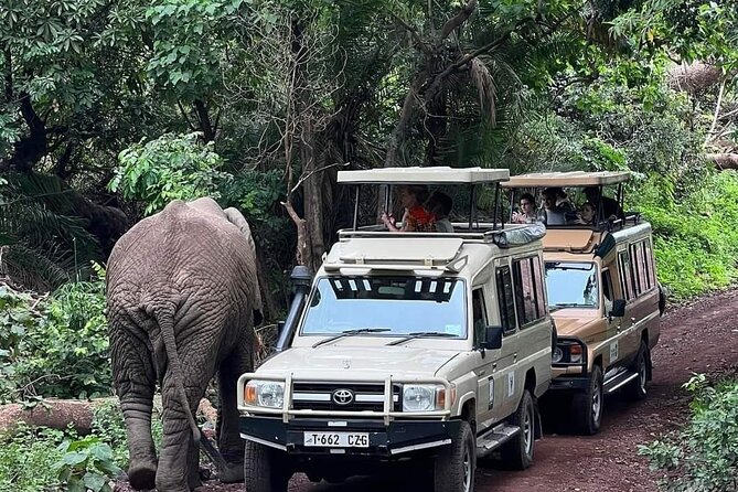 5-Days Lake Manyara, Serengeti, Ngorongoro Crater and Tarangire - Day 1: Lake Manyara’s forest and lake shore