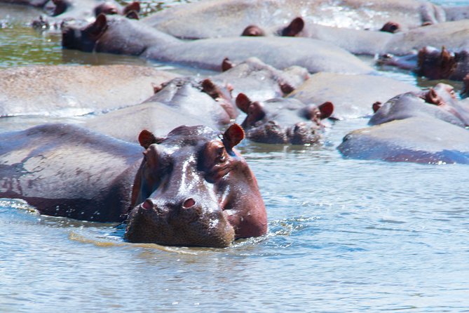 5 Days Lodge Safari. - Why this Northern Circuit route works