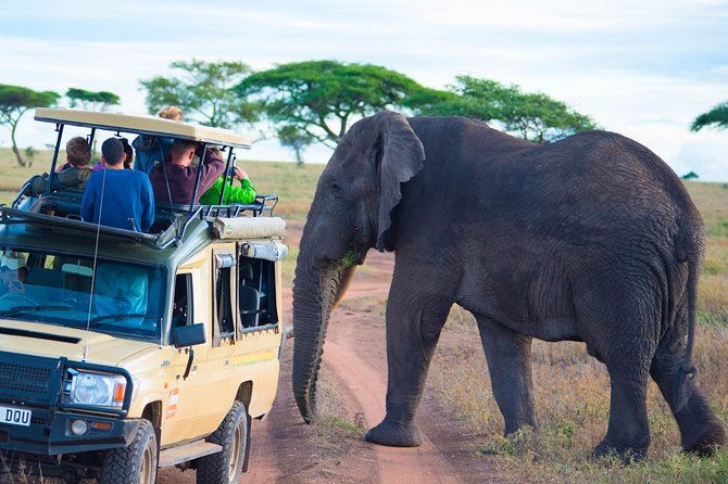 5 Days Lodge Safari. - Day five: descending into Ngorongoro Crater