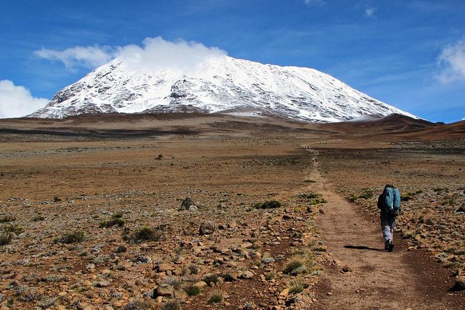 5 Days Marangu Route Kilimanjaro Trekking - Key points at a glance