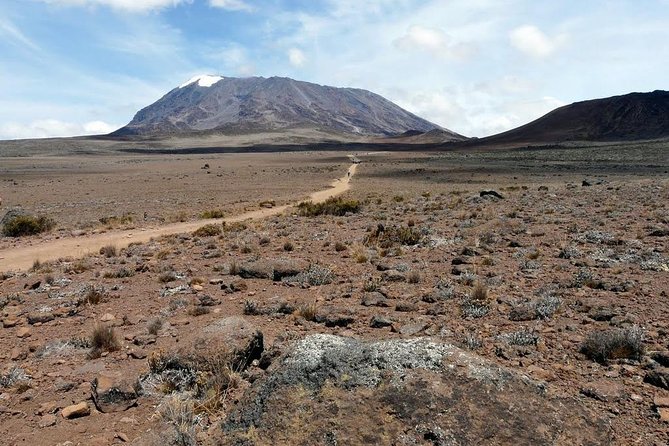 5 Days Marangu Route Kilimanjaro Trekking - Day 2: Mandara to Horombo and the first open views