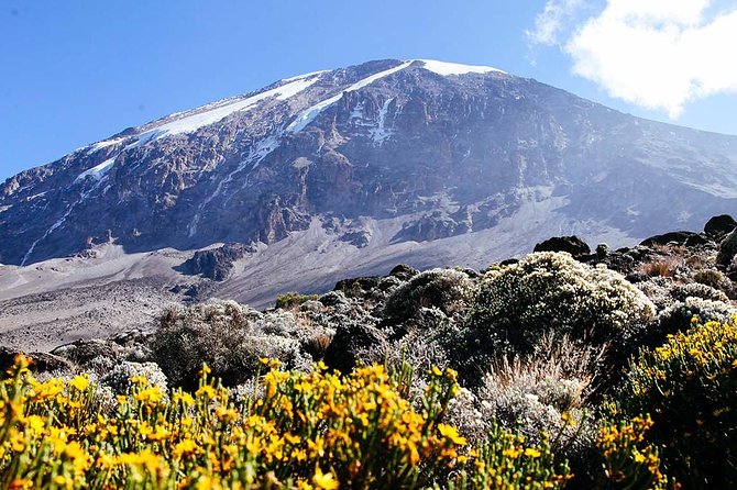 5 Days Marangu Route - Mount Kilimanjaro Trek - Day 3: Horombo Hut and the first high views