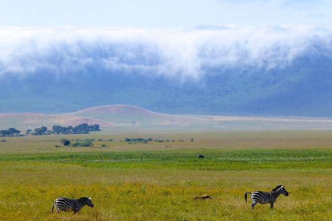 5 Days Northern Tanzania Safari- Lodging - Two Serengeti days for a better chance at the big plains