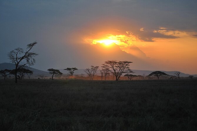 5 Days Northern Tanzania Safari- Lodging - Who should book this private safari