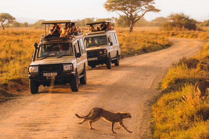 5-Days Private Midrange Safari: Serengeti, Ngorongoro & Manyara - Day 3: A Serengeti sunrise, then toward Ngorongoro