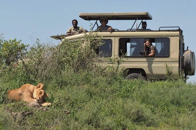5-Days Private Midrange Safari: Serengeti, Ngorongoro & Manyara - Day 4: Descending into Ngorongoro Crater