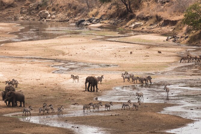 5-Days Private Midrange Safari: Serengeti, Ngorongoro & Manyara - Day 5: Lake Manyara and the return to Arusha