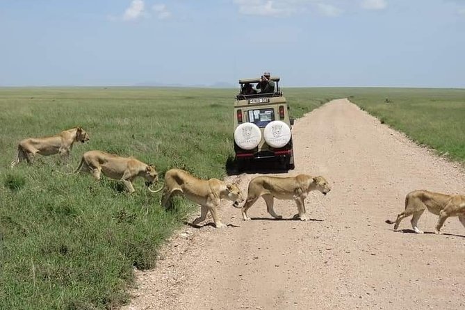 5-Days Private Midrange Safari: Serengeti, Ngorongoro & Manyara - What the $2,586.49 price covers