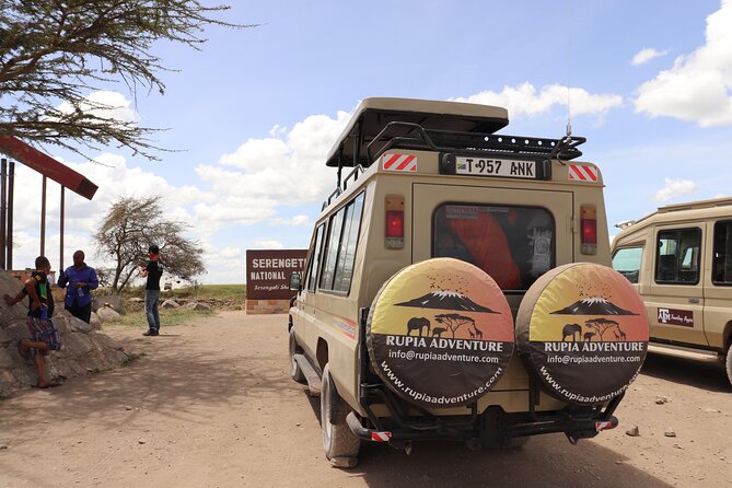 5 Days Private Safari- Tarangire, Serengeti, Ngorongoro & Manyara - Day 3: Morning Serengeti, evening on the crater rim