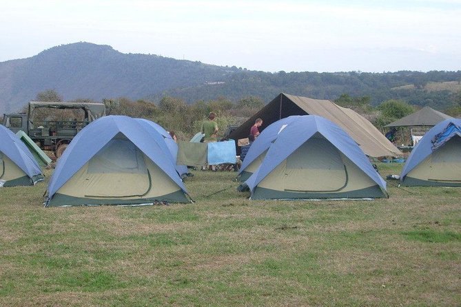 5 Days Private Safari- Tarangire, Serengeti, Ngorongoro & Manyara - Day 4: Five hours inside Ngorongoro Crater