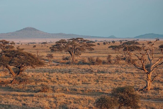 5-Days Private Safari Tour in Trangire, Serengeti, and Ngorongoro Crater - From Arusha to Tarangire’s elephant country