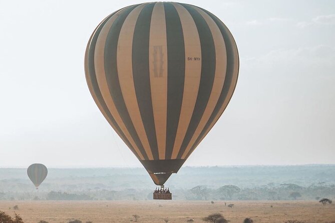 5-Days Private Safari Tour in Trangire, Serengeti, and Ngorongoro Crater - Day five and the Arusha airport transfer