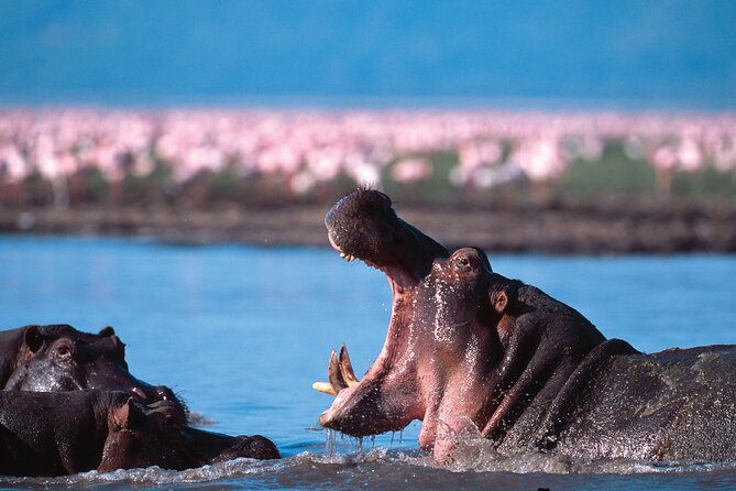 5-Days Private Safari Tour in Trangire, Serengeti, and Ngorongoro Crater - What the $1,999 price includes