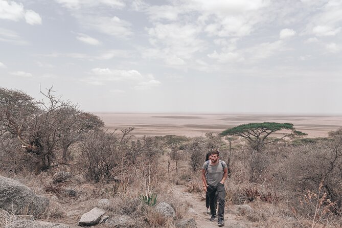 5-Days Private Safari Tour in Trangire, Serengeti, and Ngorongoro Crater - The long road into the Serengeti