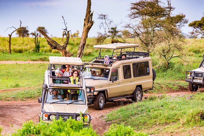 5 Days Private Safari Tour & Maasai village Visit Tanzania - Key points to know before you book