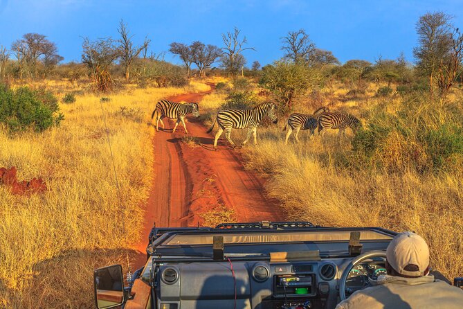 5 Days Private Safari Tour & Maasai village Visit Tanzania - Day 1: Lake Manyara’s forest and lake country