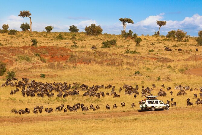 5 Days Private Safari Tour & Maasai village Visit Tanzania - The Maasai village question needs a clear answer