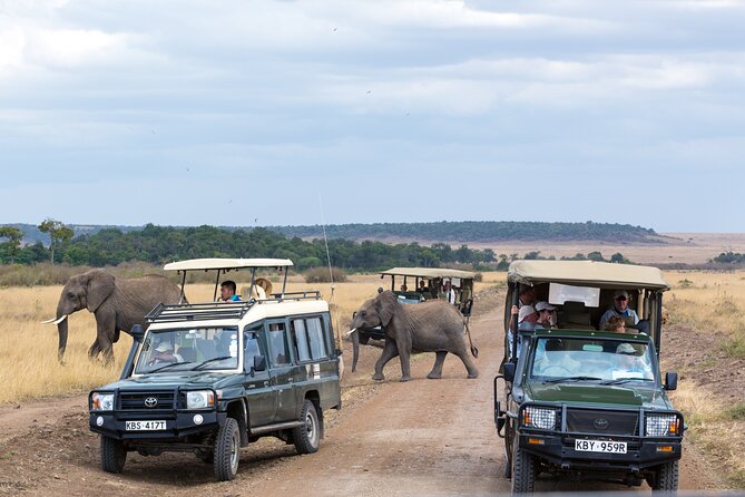 5 Days Private Safari Tour & Maasai village Visit Tanzania - Day 2: Tarangire and its elephant herds