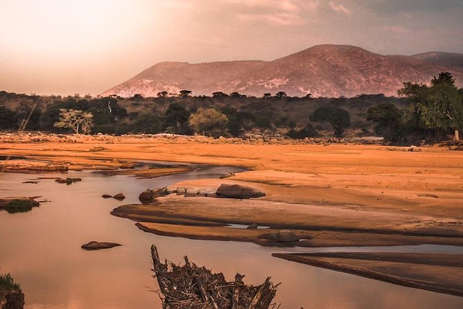 5 Days Ruaha National Park Safari - The guide and vehicle can shape the whole safari