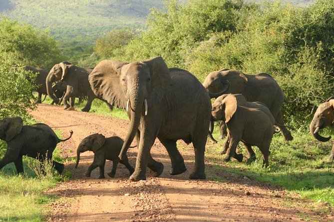 5 Days Ruaha National Park Safari - Day one: a very long transfer into Ruaha