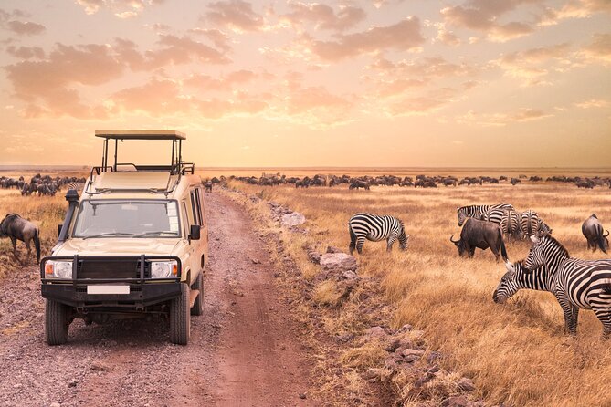5 days safari, hiking & culture (Serengeti & kilimanjaro) - Why this five-day route works