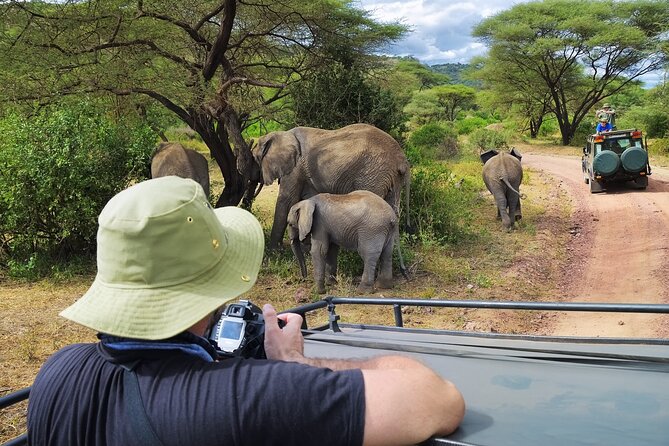 5 days safari, hiking & culture (Serengeti & kilimanjaro) - Day 4: Descending into Ngorongoro Crater