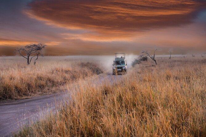 5 days safari, hiking & culture (Serengeti & kilimanjaro) - Guides, food, and camp life