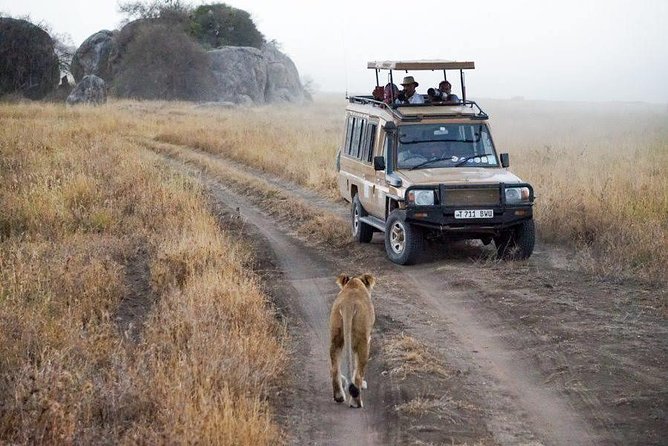 5 Days Safari In Serengeti And Ngorongoro - Day two: Lake Manyara’s compact mix of forest and shore