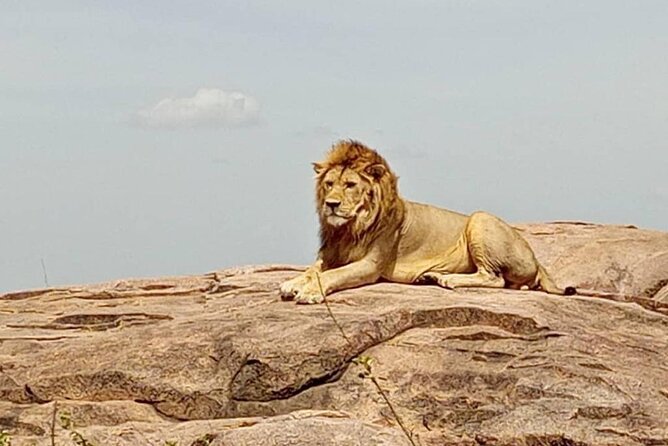 5 Days Safari In Serengeti And Ngorongoro - What the private format changes