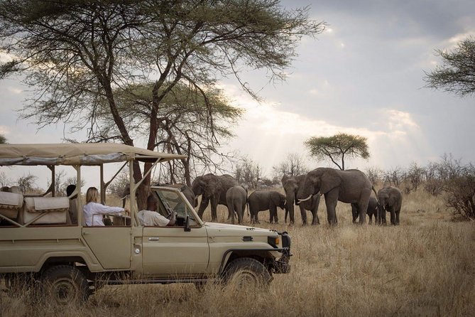 5 Days Safari In Serengeti And Ngorongoro - Day one: a quiet start beneath Mount Meru