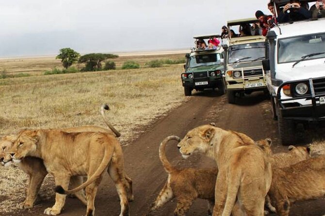 5 Days Safari in Tanzania | Camping and Lodge Safaris - What the $1,800 price really covers