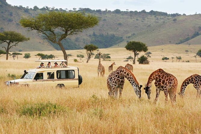 5 Days Safari in Tanzania | Camping and Lodge Safaris - The long road to the Serengeti