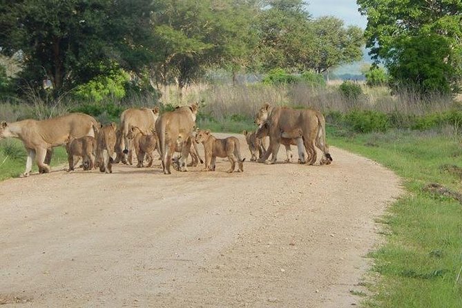 5 Days safari Selous GR and Mikumi NP - Why this southern Tanzania route works